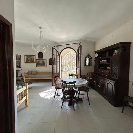 Mare In Pineta A Due Passi Dal Mare Holiday home